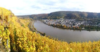 Okt/Nov 2024 – Herbstzauber an der Mosel