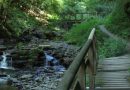 04.07.2026 – Wanderung „Im Tal der wilden Endert“