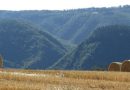 11.07.2026 – Wanderung „Hatzenport nach Kattenes“