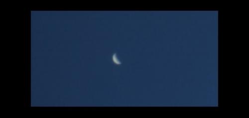 007Venus2007