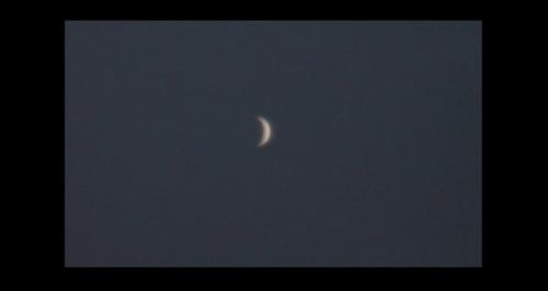 013Venus2012