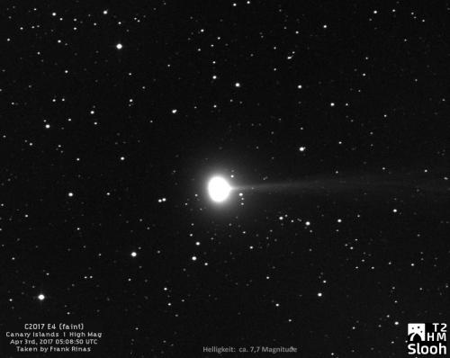 C2017E4-Lovejoy-003 03042017-02