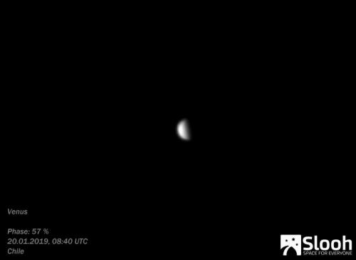 00005-20012019-Venus