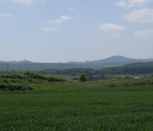 MoenchsheideLandschaft2023-001