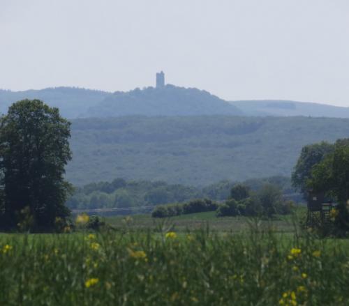 MoenchsheideLandschaft2023-002