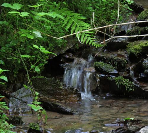 Wanderung009-2023