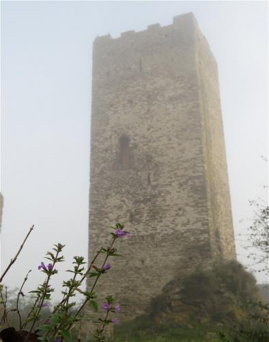 Kobern-Gondorf-Burg-und-Nebel2023-009