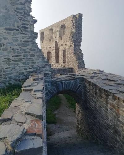 Kobern-Gondorf-Burg-und-Nebel2023-019a