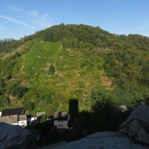 Kobern-Gondorf-Burg-und-Nebel2023-031