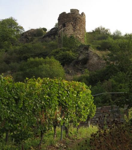 Alken-Burg-Thurant-und-Bleidenberg2023-007