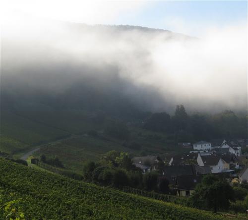 Alken-Burg-Thurant-und-Bleidenberg2023-008