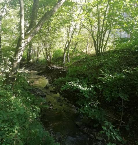 Alken-Burg-Thurant-und-Bleidenberg2023-016b