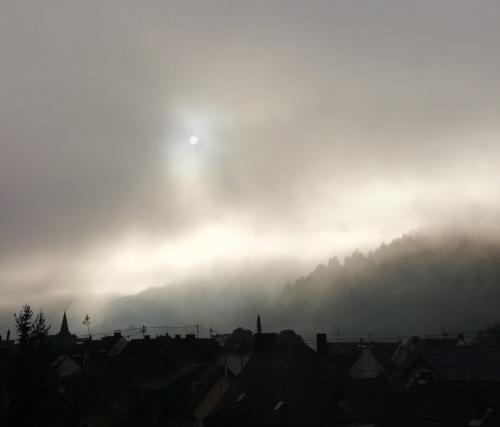 Burg-Eltz-mit-Nebel2023-002