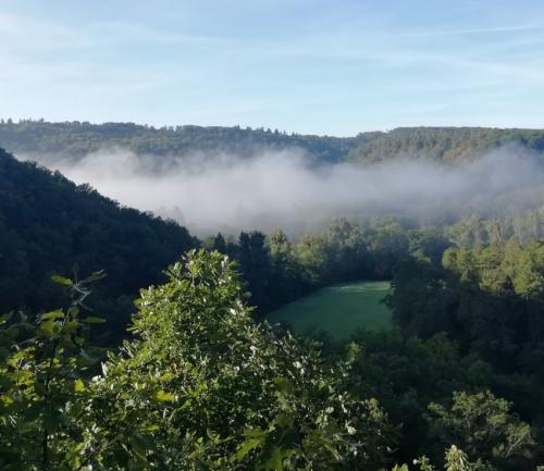 Burg-Eltz-mit-Nebel2023-004