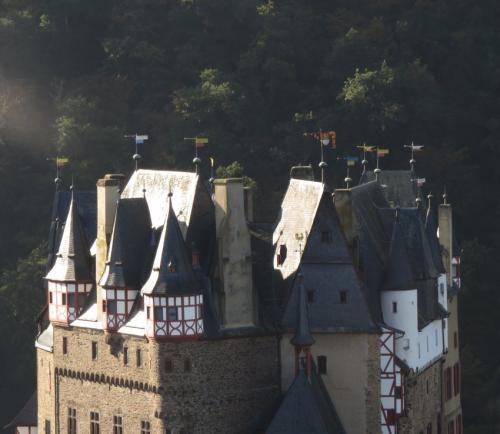 Burg-Eltz-mit-Nebel2023-016