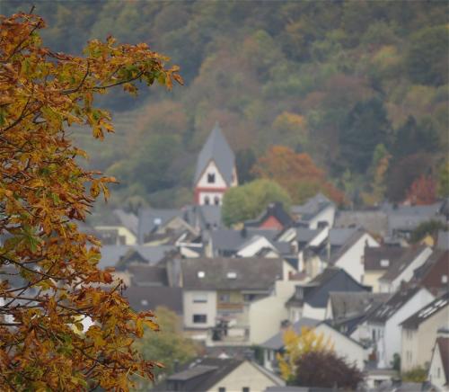 HerbstfarbenMosel2023-029