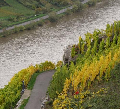 HerbstfarbenMosel2023-057
