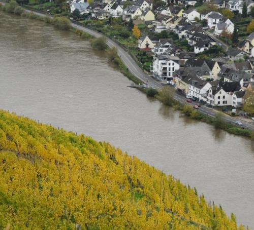 HerbstfarbenMosel2023-058