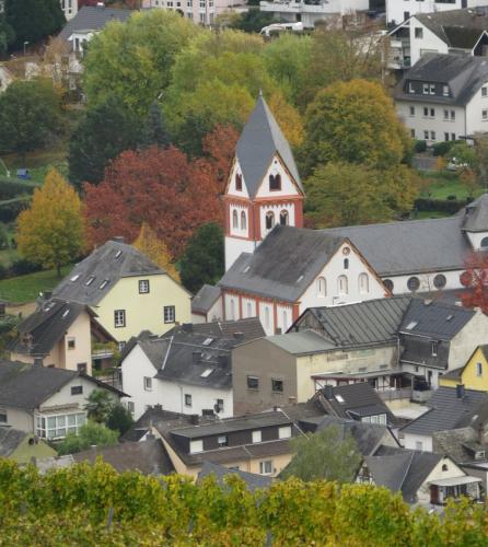 HerbstfarbenMosel2023-061