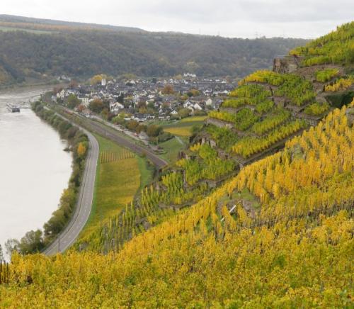 HerbstfarbenMosel2023-063