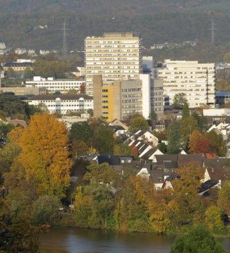 HerbstfarbenMosel2023-069