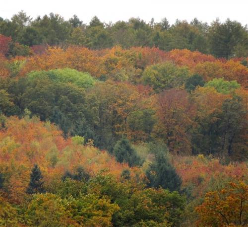 HerbstfarbenMosel2023-075