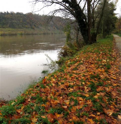 HerbstfarbenMosel2023-097