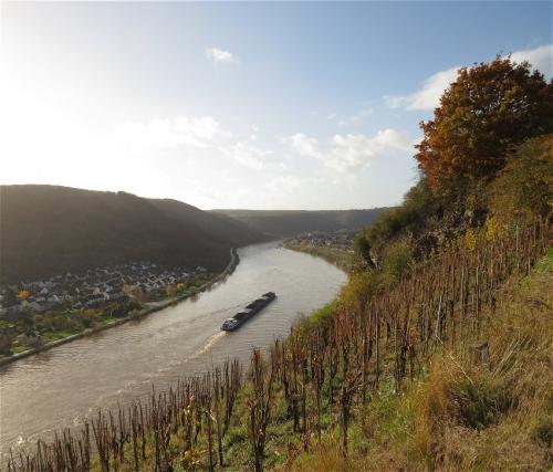 HerbstfarbenMosel2023-098
