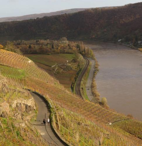 HerbstfarbenMosel2023-100