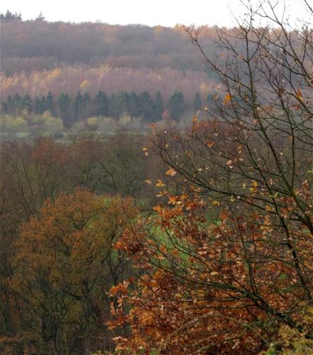 HerbstfarbenMosel2023-105