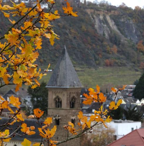HerbstfarbenMosel2023-106