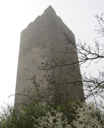 Niederburg-Kobern-Gondorf2024-025