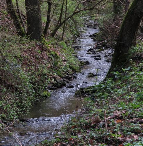 BurgThurant-und-Bleidenberg2024-057