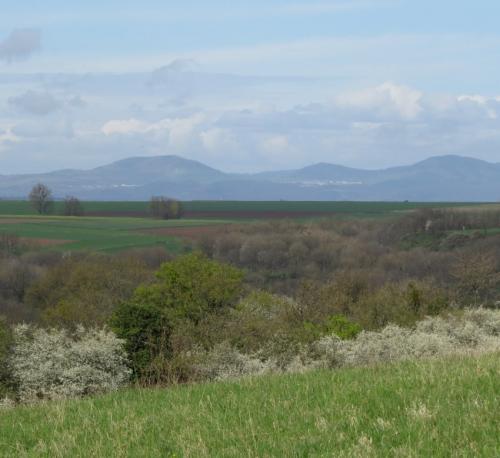 BurgThurant-und-Bleidenberg2024-064