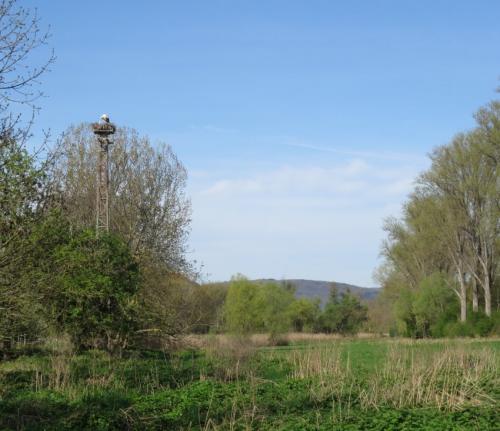 NSG-FulderAue-IlmenAue 2024-001