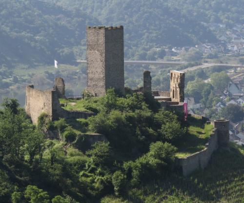 KobernNiederburgMoseltalbruecke2024-021