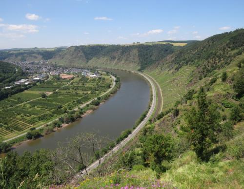 KobernNiederburgMoseltalbruecke2024-053