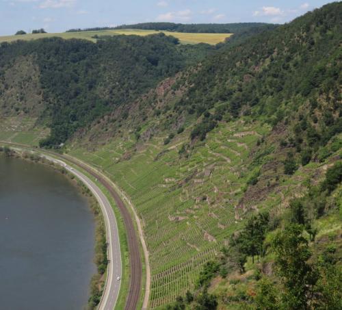 KobernNiederburgMoseltalbruecke2024-054