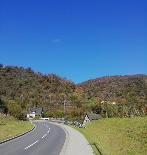 23102024CochemWetterfahneWinneburg36a