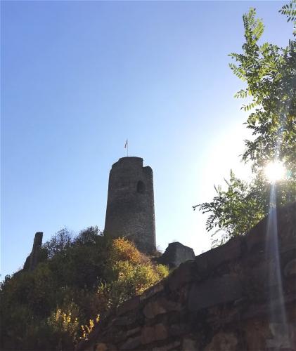 23102024CochemWetterfahneWinneburg38a