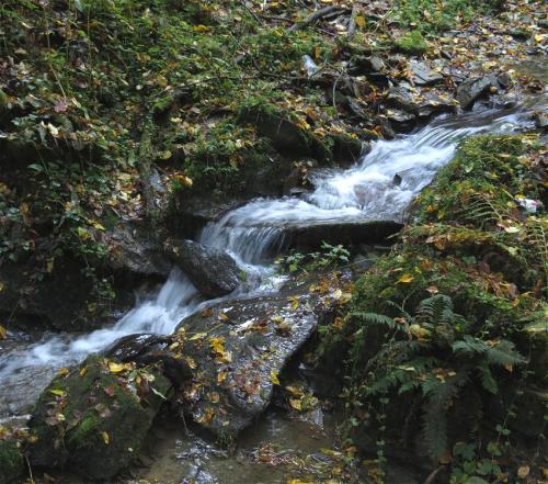 23102024CochemWetterfahneWinneburg49
