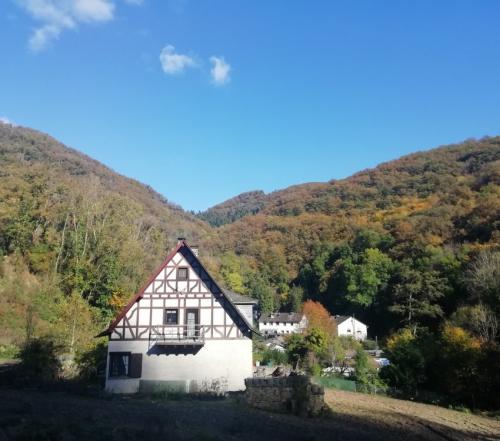 23102024CochemWetterfahneWinneburg49a