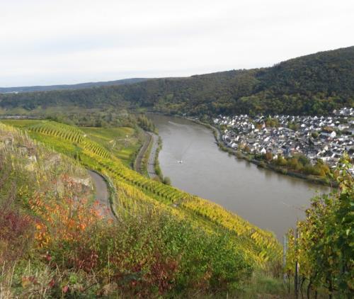 HerbstfarbenMosel20102024-006