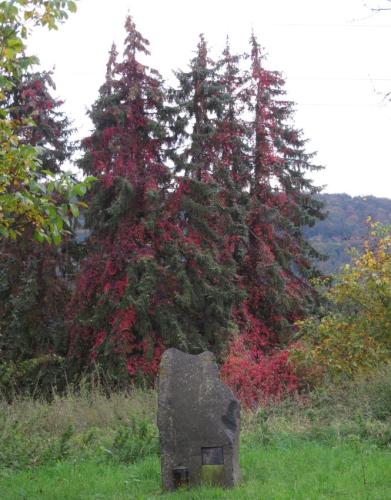HerbstfarbenMosel20102024-012