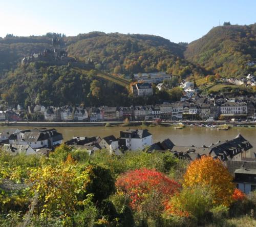 HerbstfarbenMosel23102024-004