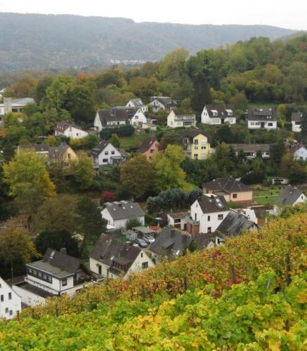 HerbstfarbenMosel24102024-015
