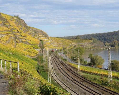 HerbstfarbenMosel25102024-005