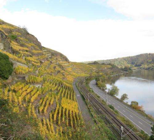 HerbstfarbenMosel25102024-014