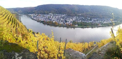 HerbstfarbenMosel25102024-026a