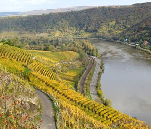 HerbstfarbenMosel25102024-035